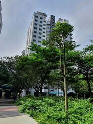 Blk 110C Punggol Field (Punggol), HDB 4 Rooms #573014481